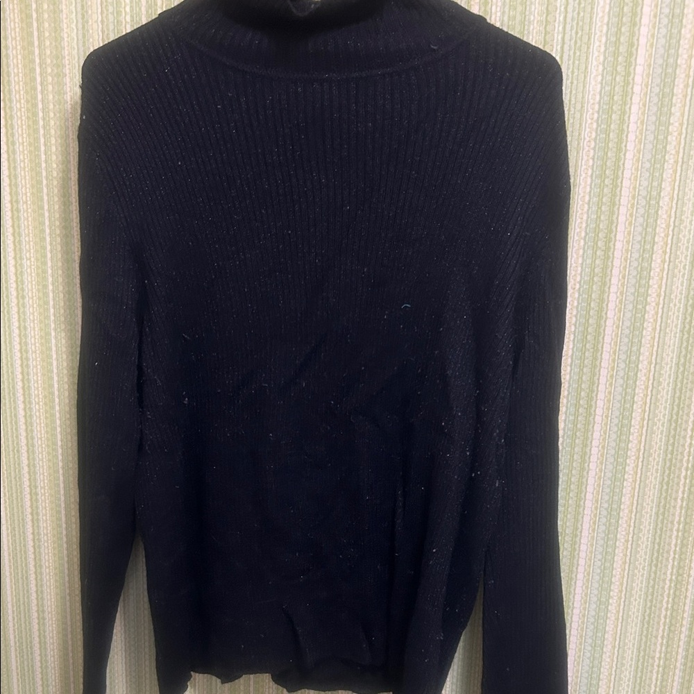 Elegant Black Turtleneck Sweater
